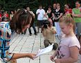 IMG_1185